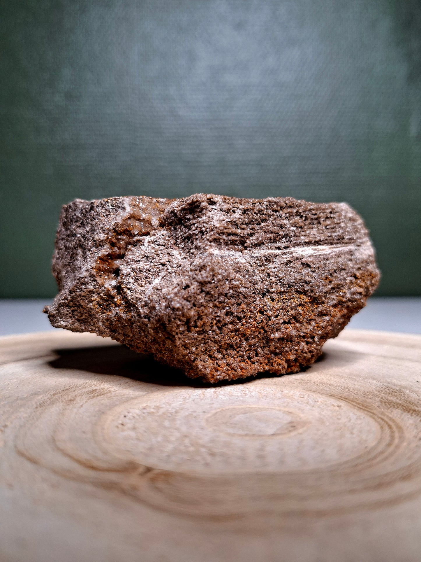 NOUVEAU - Forme brute en bois pétrifié