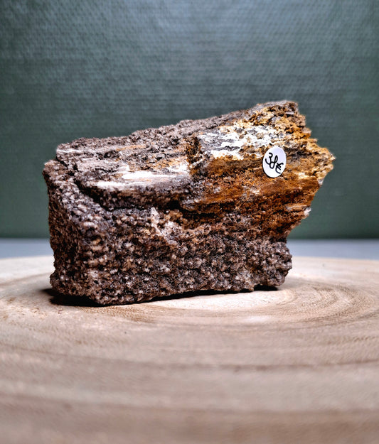 NOUVEAU - Forme brute en bois pétrifié