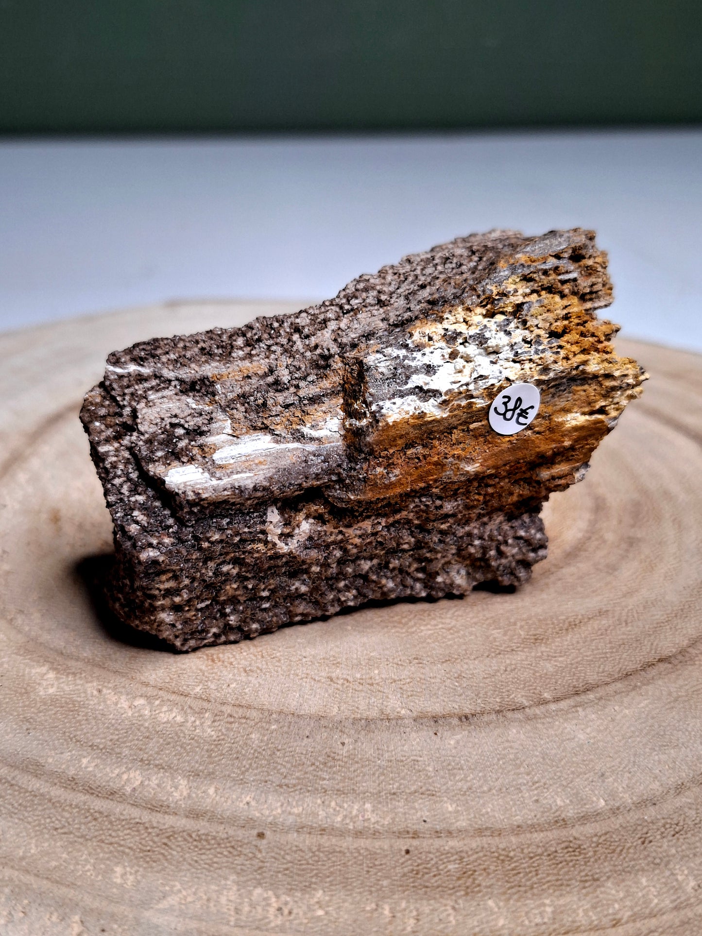 NOUVEAU - Forme brute en bois pétrifié