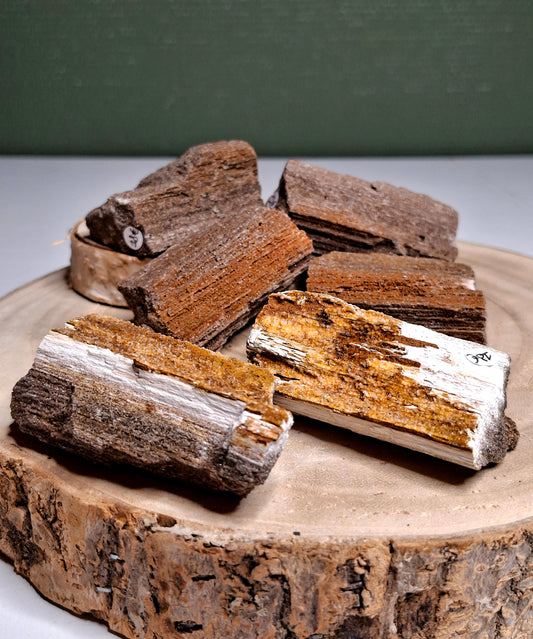 NOUVEAU - Pierre brute en bois pétrifié